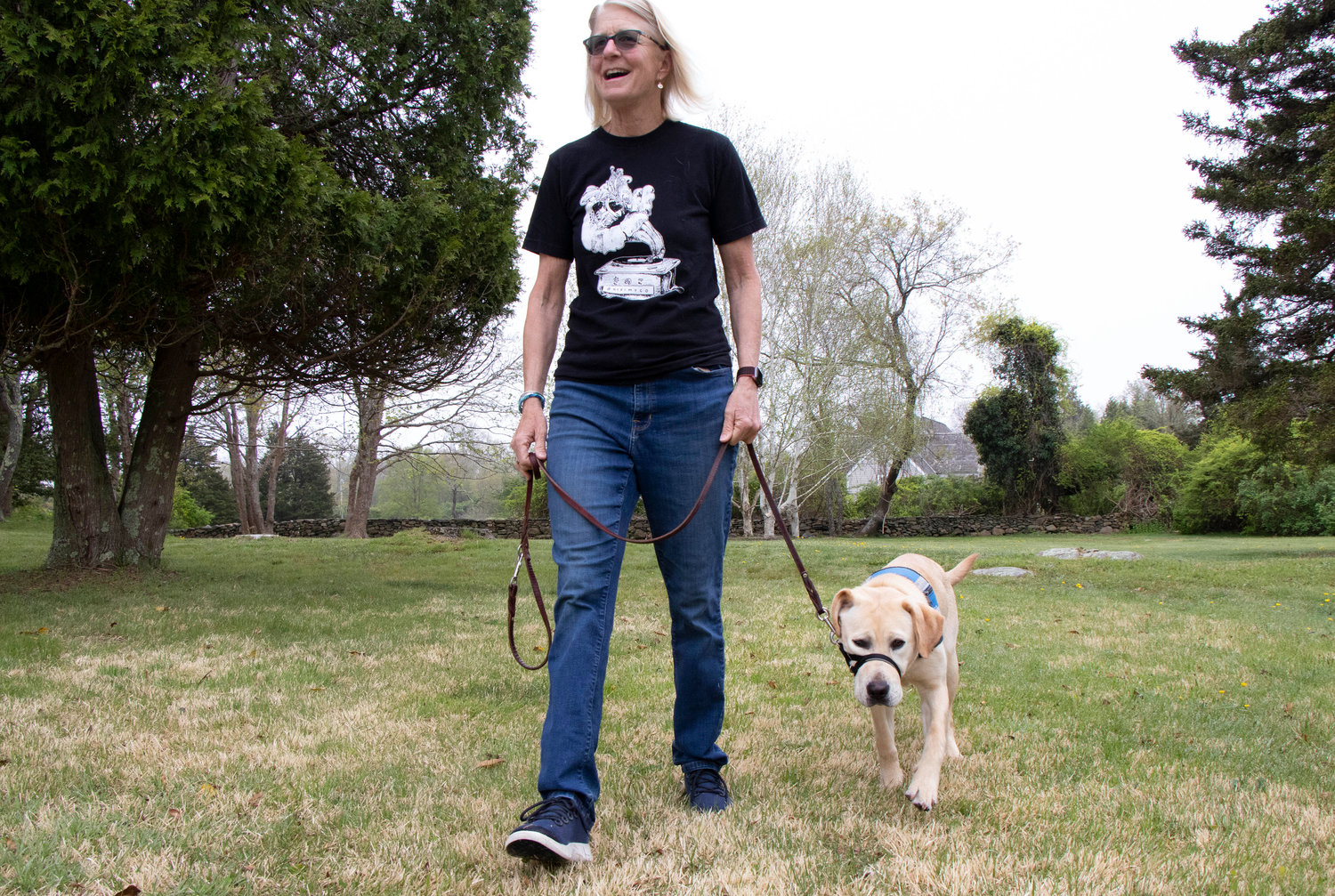 Guide dog training – learning as they go | EastBayRI.com - News